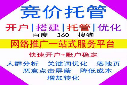 百度竞价排名实战：某行业领先企业的成功之路